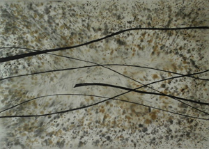 Thumbnail Placeholder